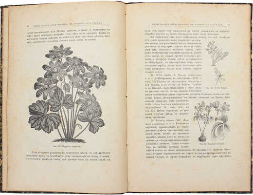 Регель Э.Л. Весенние красивоцветущие многолетние и луковичные растения, их содержание и воспитание в садах. СПб., 1888.